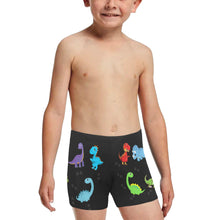 Load image into Gallery viewer, &quot;Dinosaur&quot; Boys Swim Pants
